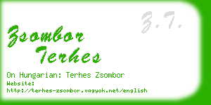 zsombor terhes business card